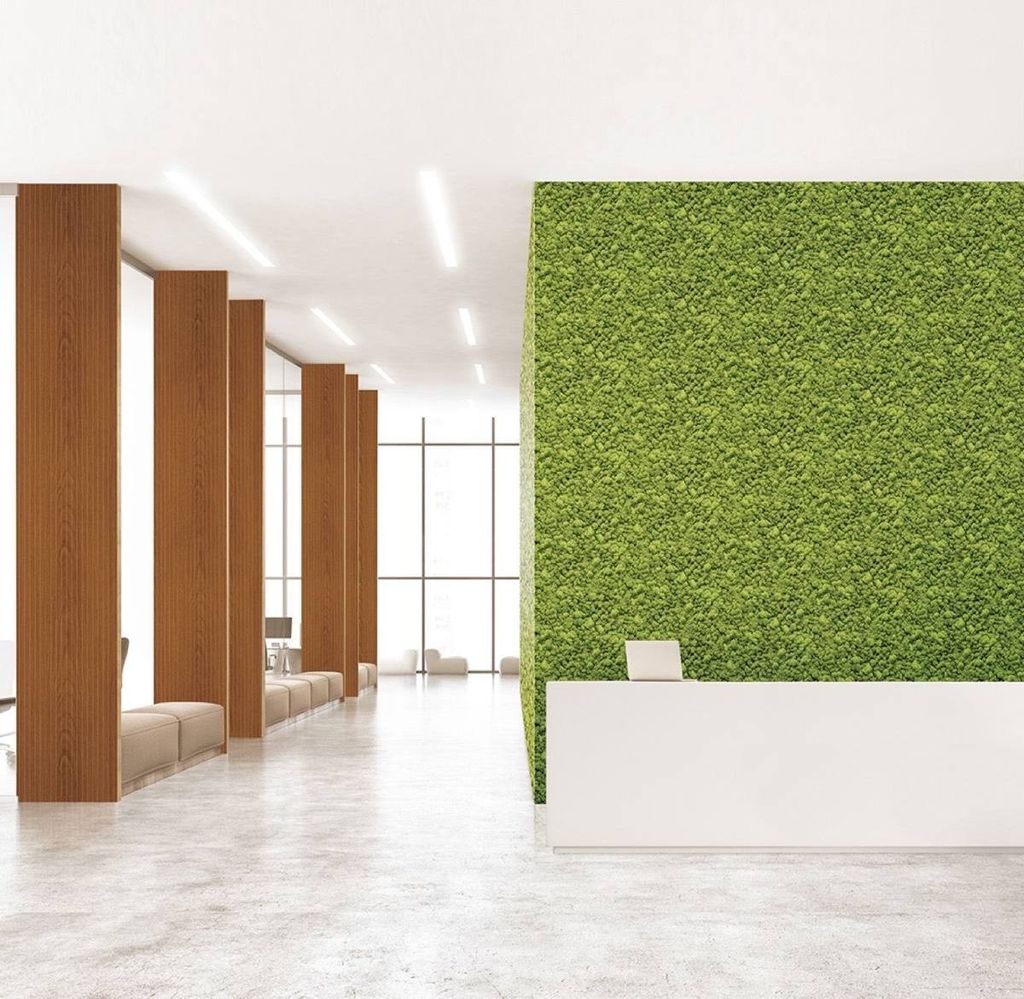 Giấy Dán Tường Giả Gỗ Au1226