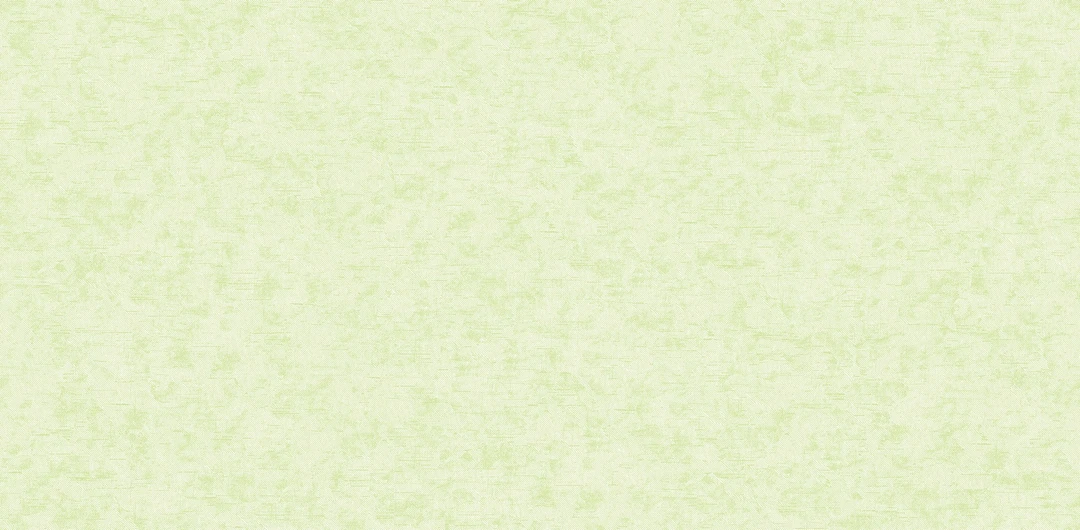 Giấy Dán Tường Trẻ Em Dw1219
