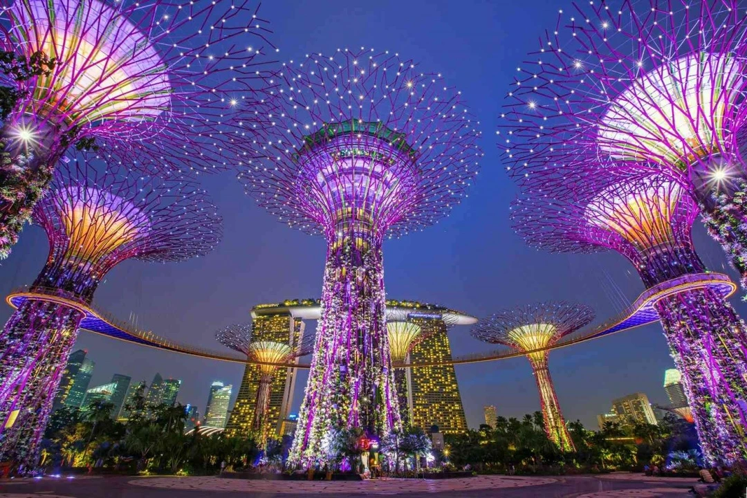 Tranh Dán Tường Phòng Ăn PA29