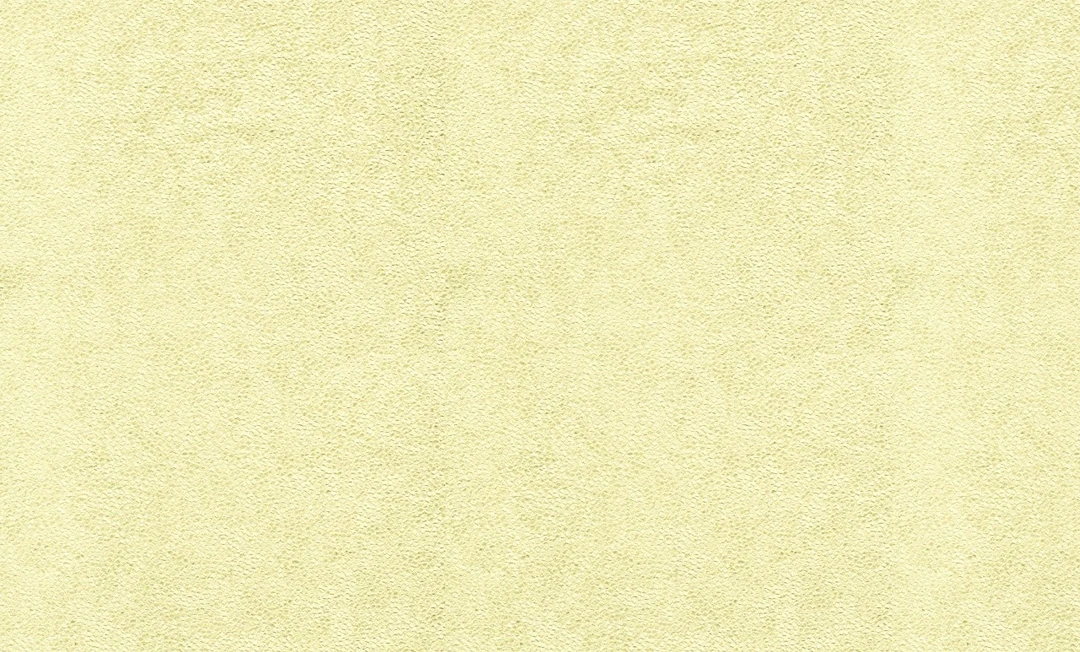 Giấy Dán Tường Phòng Khách NL668