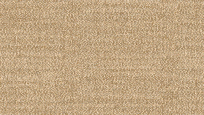 Giấy Dán Tường Trường Học TH8899