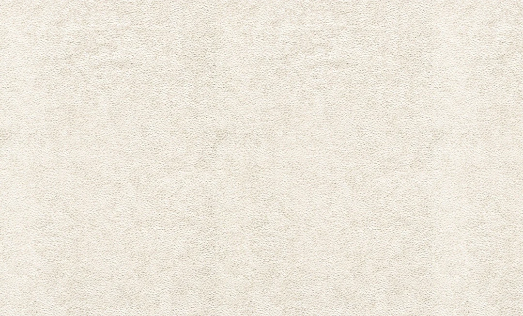Giấy Dán Tường Phòng Khách NL665