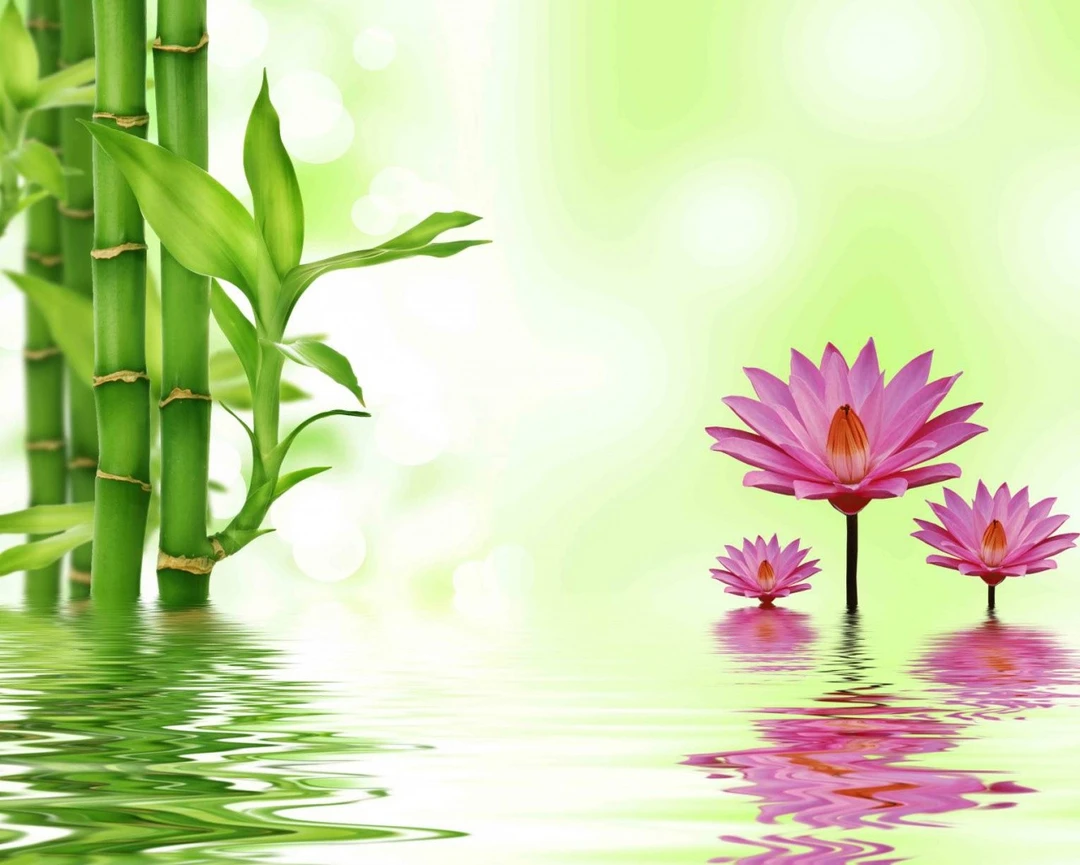 Tranh Dán Tường 3D Phong Thủy Tiến Phát Pttp81