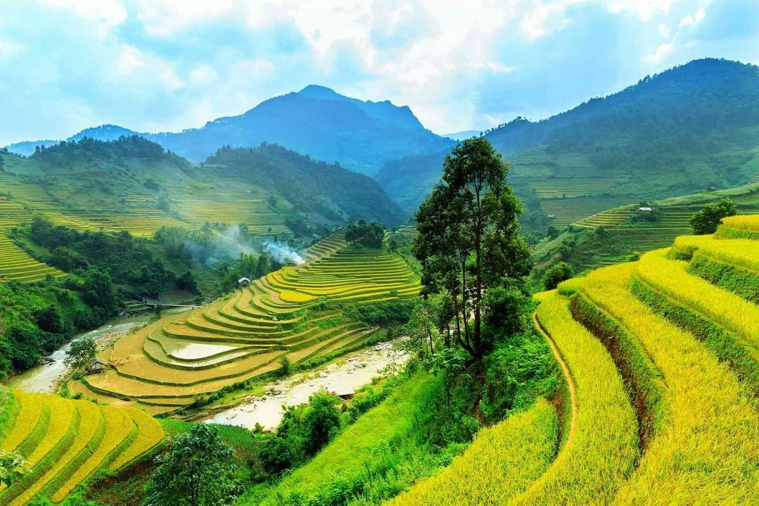 Tranh Dán Tường Phòng Khách PA44