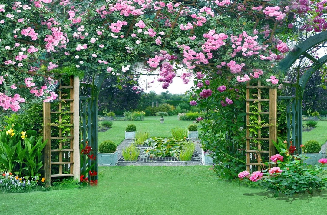 Tranh Dán Tường Phong Cảnh Thiên Nhiên Tiến Phát Decor Pctp13